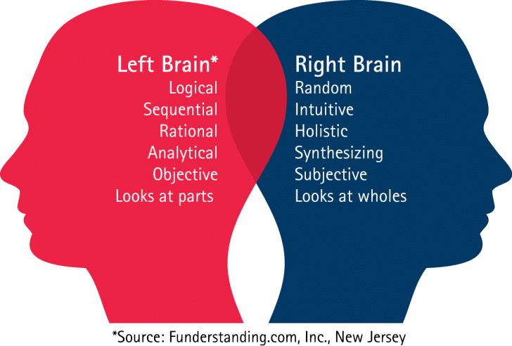 2 “Brains” and 2 “Languages”