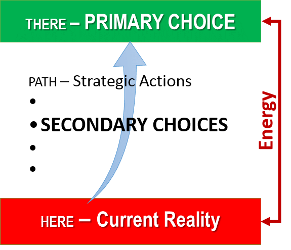 Primary and Secondary Choices